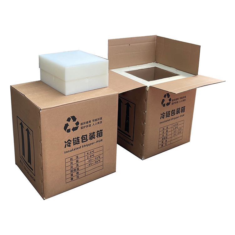 46L国际低温快递冷链包装箱超低温冷冻保温箱防冻冷藏箱