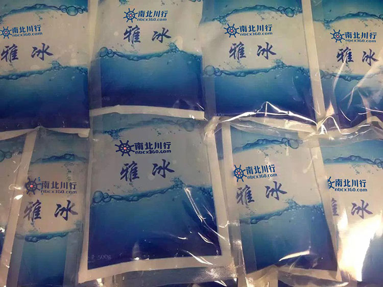 -55℃干冰型冰袋（二）
